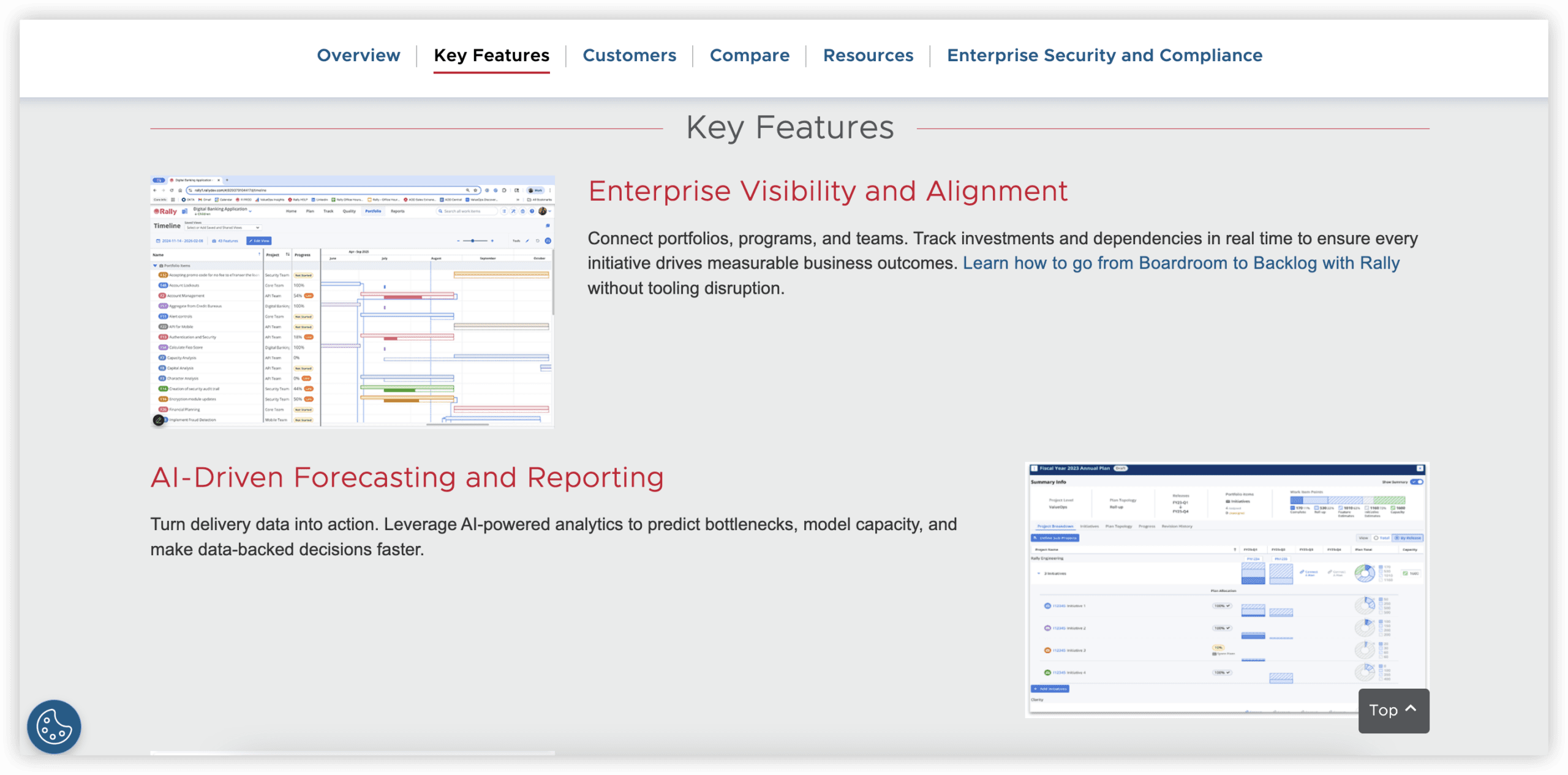 产品管理系统 Broadcom Rally 产品图